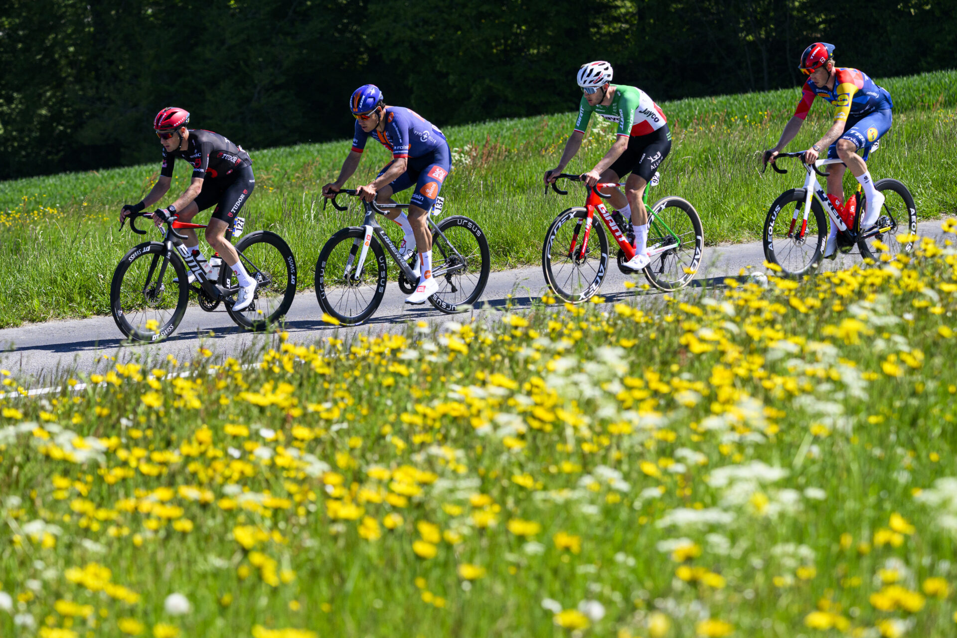 From left, Roland Thalmann from Switzerland of Tudor Pro Cycling Team, Henri-Francois Renard-Haquin from France of team Team Picnic PostNL, Filippo Conca from Italy of team Team Jayco AlUla and Jakob Soderqvist from Sweden of team Lidl-Trek in action during the second stage, a 173,1 km race between Rue and Vucherens at the 79th Tour de Romandie UCI World Tour Cycling race, in Corcelles-le-Jorat, Switzerland, Thursday, April 30, 2026. (KEYSTONE/Jean-Christophe Bott)