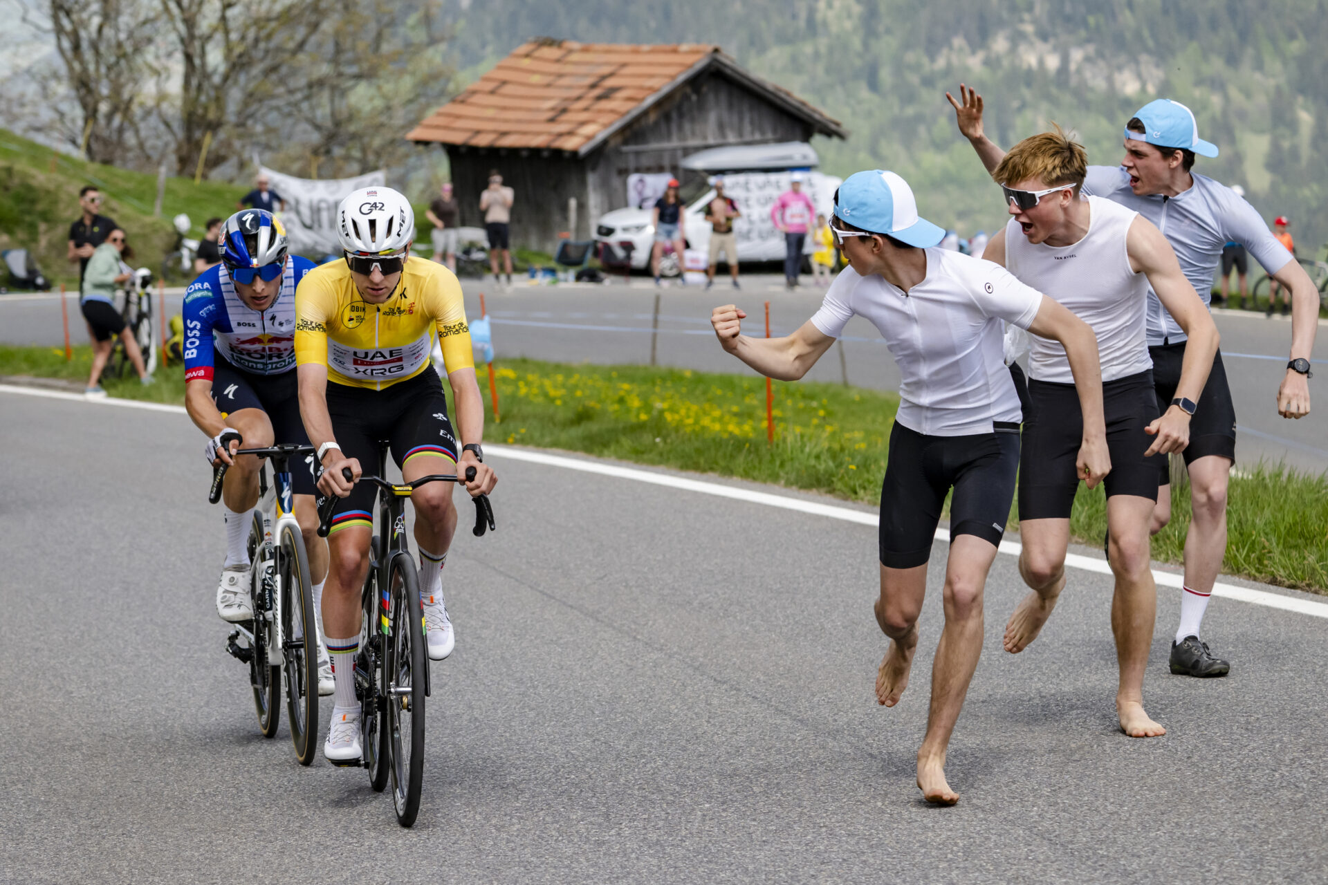 Florian Lipowitz, left, from Germany of team Red Bull BORA hansgrohe, and Tadej Pogacar, right, from Slovenia of UAE Team Emirates XRG in action at the Jaun Pass during the fourth stage, a 149,6 km race between Broc and Jaun at the 79th Tour de Romandie UCI World Tour Cycling race, near Charmey, Switzerland, Saturday, May 2, 2026. (KEYSTONE/Jean-Christophe Bott)